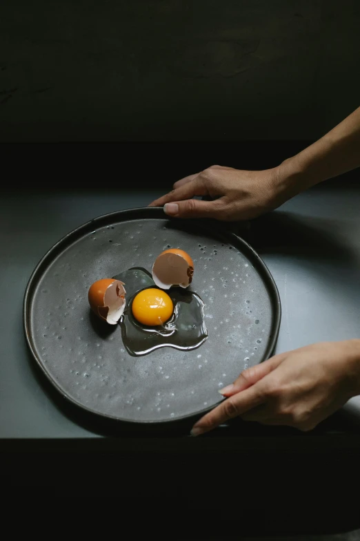 a person holding a plate with an egg on it, a still life, by Jacob Duck, process art, chefs table, matte surface, grey, edible