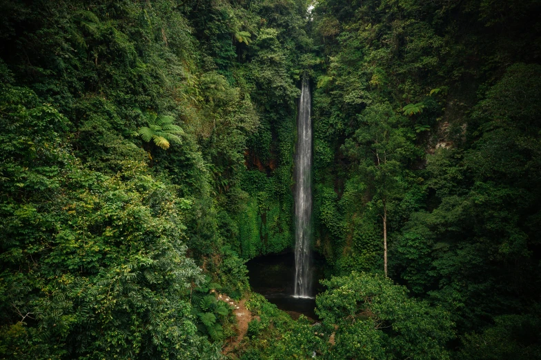 a waterfall in the middle of a lush green forest, by Doug Wildey, pexels contest winner, sumatraism, tall entry, te pae, wide high angle view, fine art print