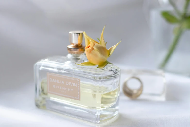 a close up of a bottle of perfume on a table, a still life, inspired by Allan Ramsay, unsplash, romanticism, delicate embellishments, on a pale background, rectangle, white