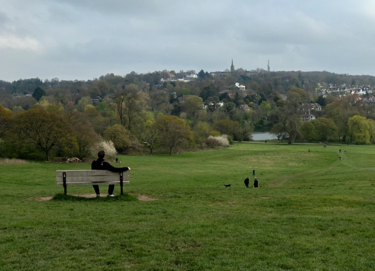 a person sitting on a bench in a field, crystal palace, sweeping vista, hill with trees, distant photo