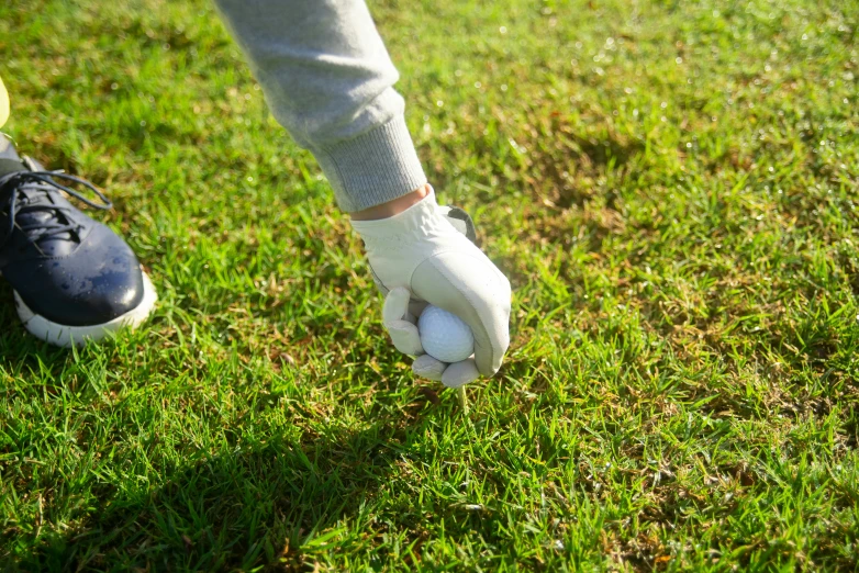 a person holding a golf ball in their hand, lawns, wearing gloves, up close image, thumbnail