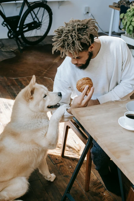 a man sitting at a table with a dog, pexels contest winner, bakery, an all white human, gif, bun