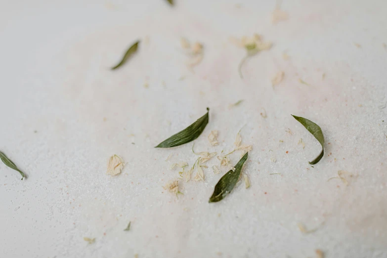 a close up of a piece of food on a table, by Ruth Simpson, trending on pexels, process art, dried herbs, white sand, background image, bubble bath