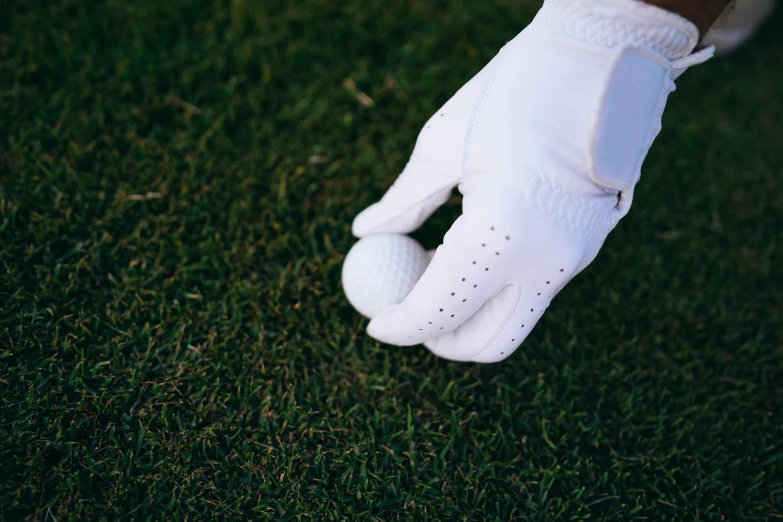 a man standing on top of a lush green field, inspired by Shirley Teed, unsplash, renaissance, white satin gloves, launching a straight ball, high angle close up shot, wearing gloves