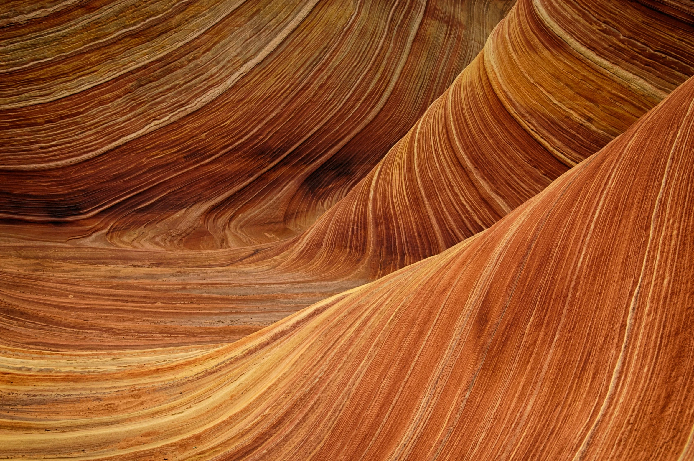 a close up of a wave formation in the desert, flickr, art nouveau, fan favorite, orange rocks, intricate lining, fire lines