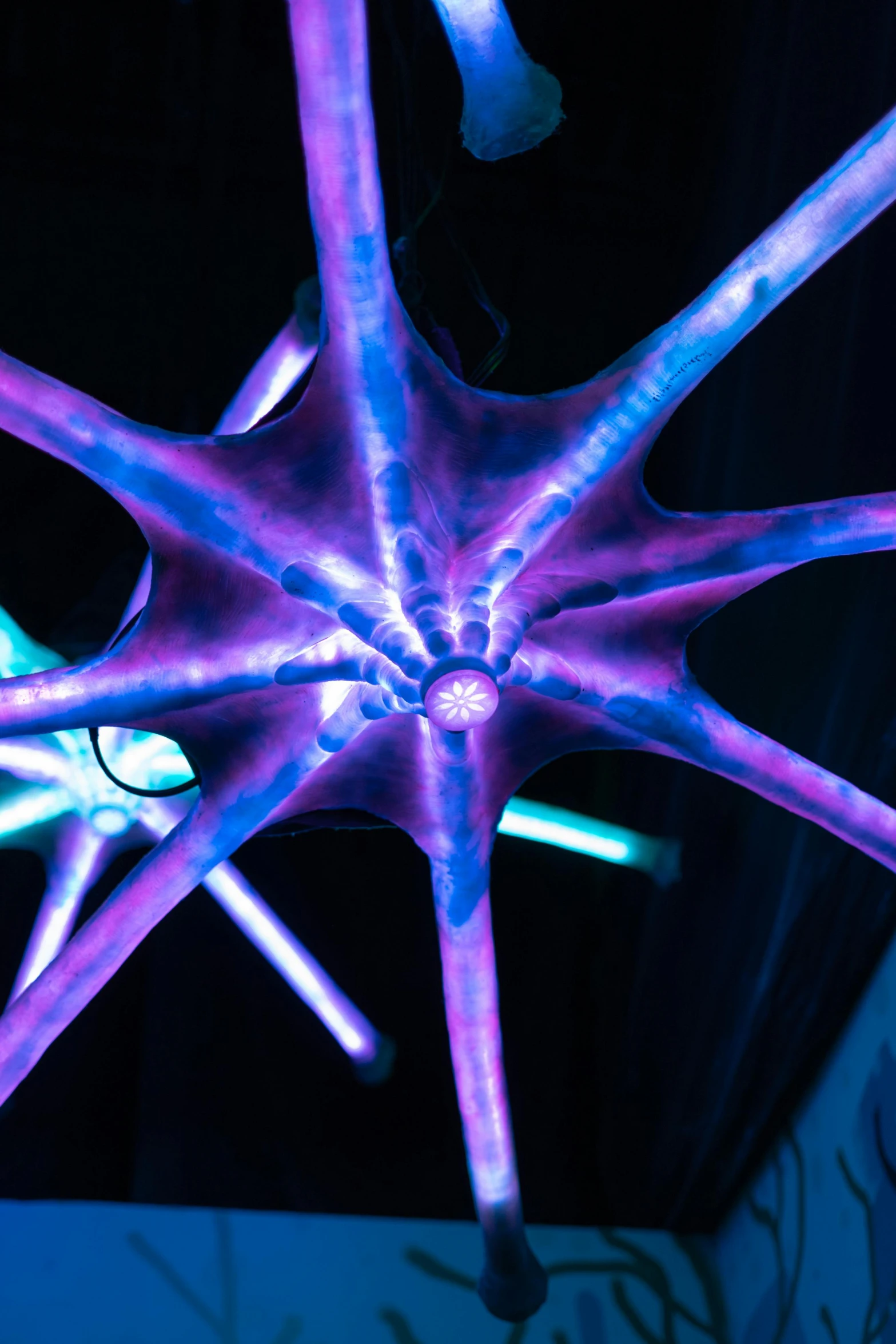 a close up of some lights in a room, a microscopic photo, inspired by Bruce Munro, kinetic art, spiky tentacles, neuron, uv blacklight, underside