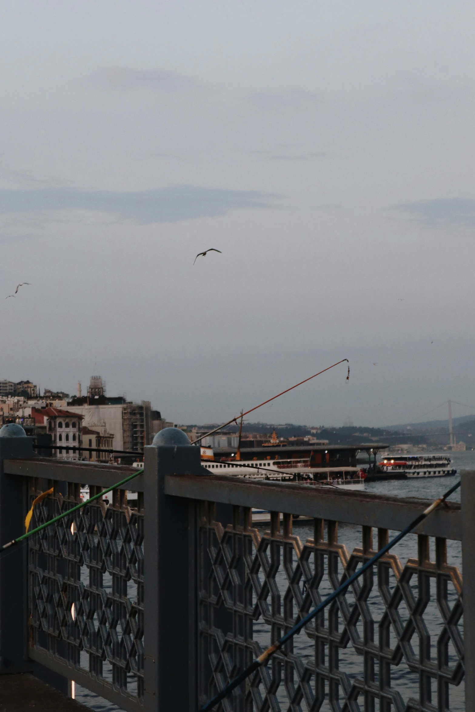 a man standing on top of a bridge next to a body of water, istanbul, birds flying in the distance, fishing boats, of course