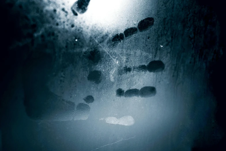 a black and white photo of footprints in the snow, an album cover, inspired by Katia Chausheva, pexels contest winner, graffiti, cold blue light from the window, in a underwater horror scene, thumbprint, light fogged