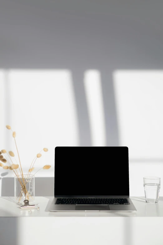 a laptop computer sitting on top of a white desk, light and space, softly shadowed, avatar for website, multiple stories, high-quality photo