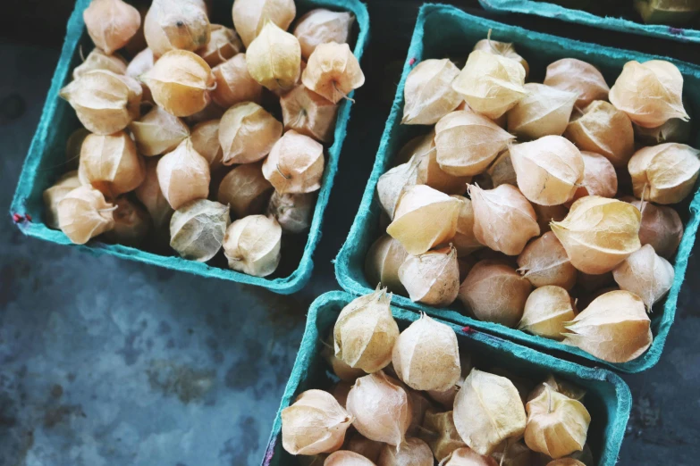 a couple of baskets filled with fruit sitting on top of a table, by Carey Morris, trending on unsplash, process art, onions, many cryogenic pods, seen from below, wet market street