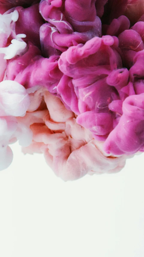 a person holding a pink and white flower, a colorized photo, inspired by Alberto Seveso, unsplash, made of liquid purple metal, made of cotton candy, instagram post, teamlab