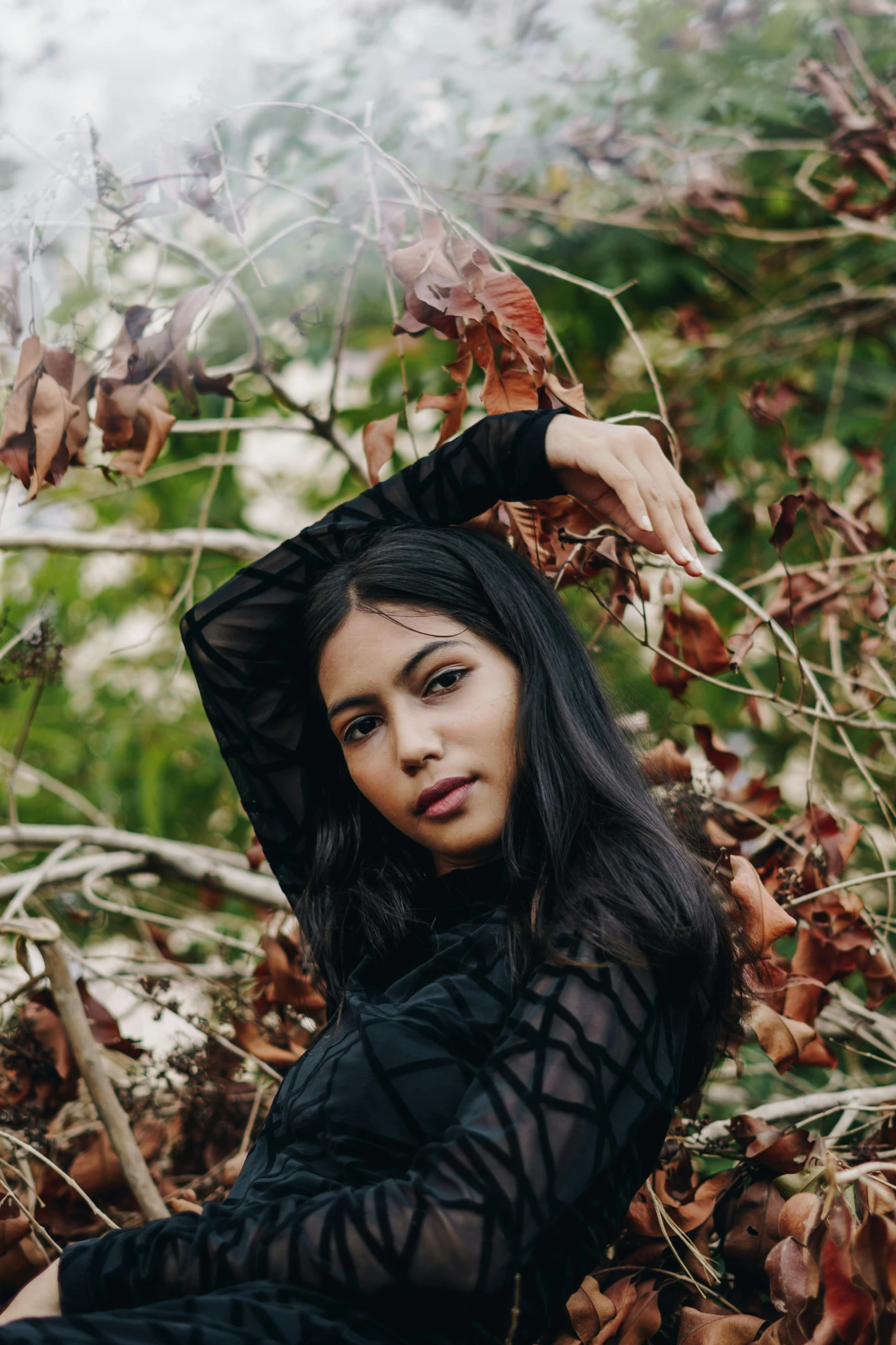 a woman sitting on top of a pile of leaves, an album cover, trending on pexels, hurufiyya, black long hair, headshot profile picture, on a branch, asher duran