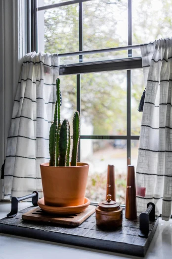 a potted cactus sits on a tray in front of a window, inspired by William Home Lizars, black stripes, cottagecore, drapes, bright window lit kitchen