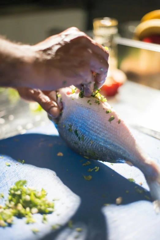 a person cutting up a fish on a cutting board, by Elizabeth Durack, unsplash, finely detailed, tourist photo, herbs, shady