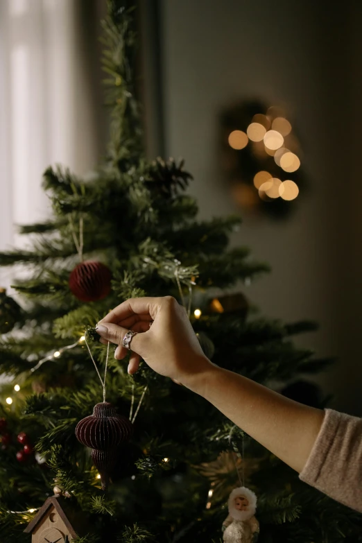 a woman decorating a christmas tree with ornaments, pexels, realism, moody evening light, tissue ornament, small, low detail