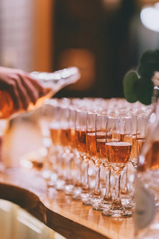 a close up of glasses of wine on a table, performing, pink golden hour, bartending, prizewinning