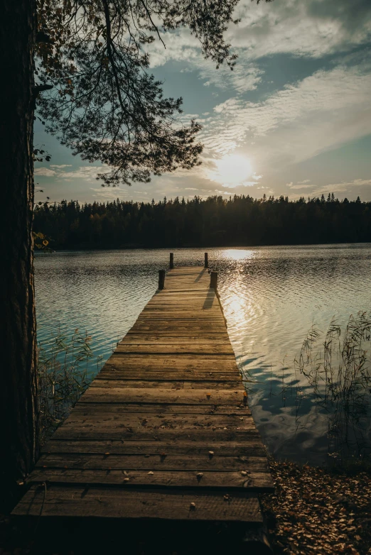 a wooden dock sitting in the middle of a lake, by Sebastian Spreng, golden hour 8k, swedish forest, full frame image, multiple stories