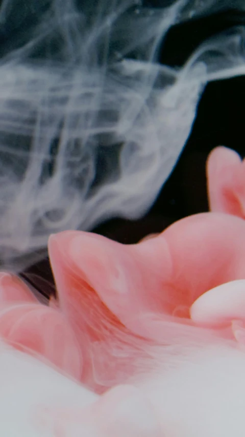 a close up of a person's hand with smoke coming out of it, an album cover, inspired by Anna Füssli, trending on unsplash, aestheticism, pink flower, candy treatments, 4 k film still, silicone skin