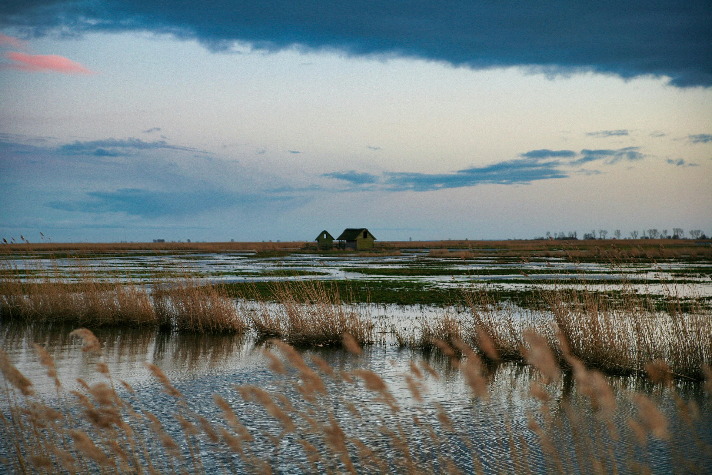 a small house sitting in the middle of a marsh, by Jan Tengnagel, unsplash contest winner, renaissance, ai weiwei and gregory crewdson, vast expanse, huts, early evening