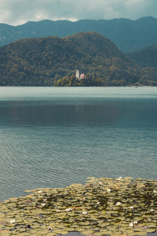 a large body of water with mountains in the background, inspired by Jan Kupecký, unsplash contest winner, renaissance, small castle in the distance, scattered islands, shore of the lake, slovenian