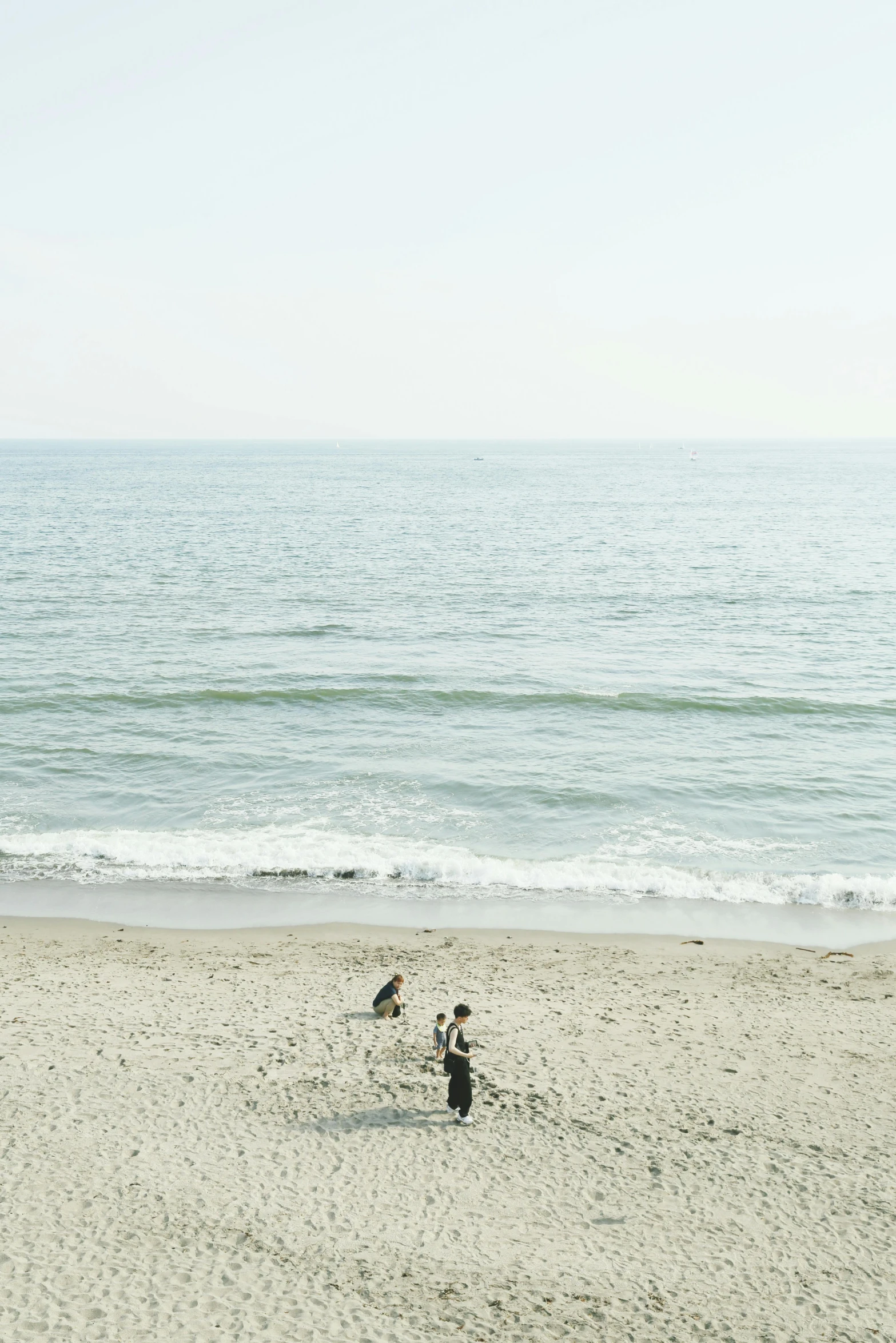 a group of birds standing on top of a sandy beach, unsplash, minimalism, malibu canyon, two people, photograph”, photograph ”