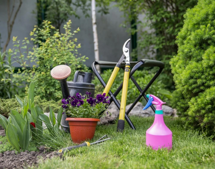 a garden with gardening tools and flowers, pink grass, short spout, high quality product image”, unbeatable quality