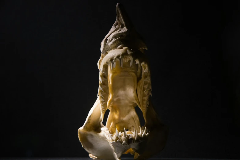 an animal skull sitting on top of a table, by Elke Vogelsang, unsplash, hyperrealism, shark teeth, bottom - view, showing teeth, with a black background