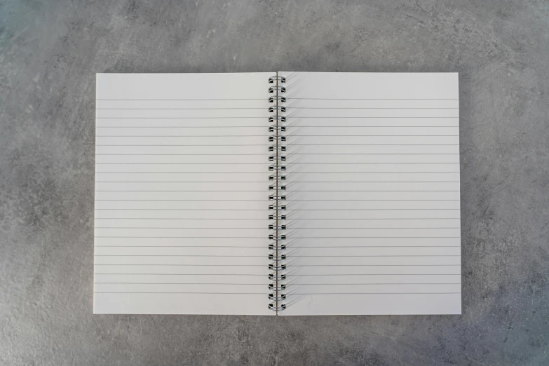 an open notebook sitting on top of a table, on grey background, back facing the camera, intricate lining, your name