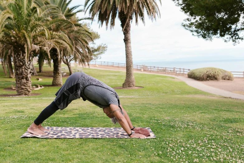 a man doing a yoga pose in a park, unsplash, near the beach, “pig, back arched, background image