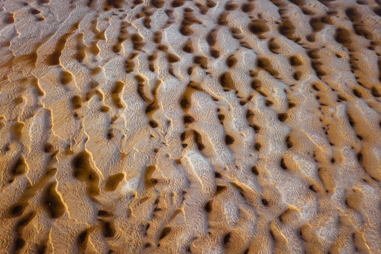 a close up of sand and water on a beach, by Daniel Gelon, unsplash, lyrical abstraction, melting in coral pattern, panels, sandstone, early morning lighting