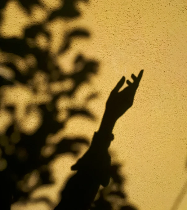 a shadow of a person's hand on a wall, by Alexis Grimou, unsplash, conceptual art, yellow light, 8k 50mm iso 10, shadows from trees, raised hand