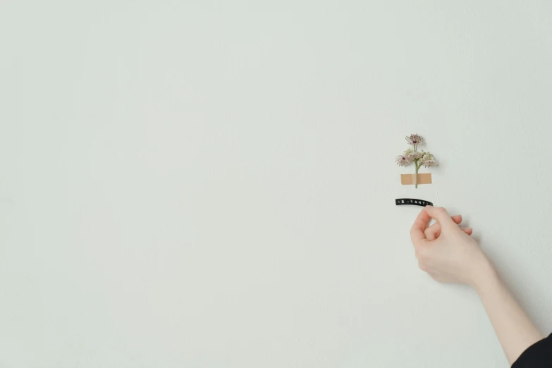 a person holding a piece of paper with a plant on it, by Emma Andijewska, minimalism, flowers, miniatures, 15081959 21121991 01012000 4k, hidden message