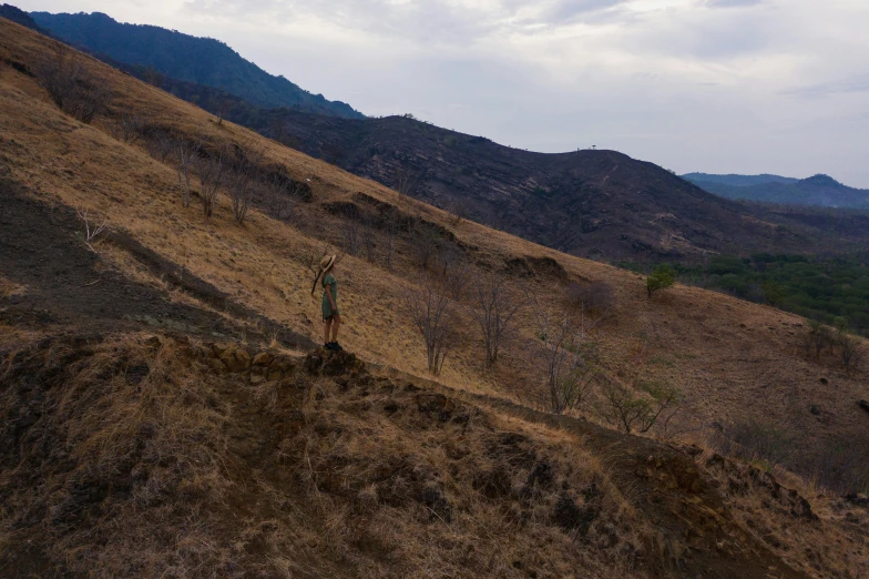 a person that is standing on a hill, by Daniel Lieske, sumatraism, hunting, dry trees, profile image, a high angle shot
