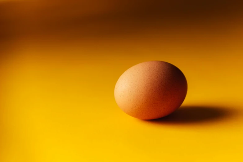 an egg sitting on top of a yellow surface, profile picture 1024px, fan favorite, colour hd photography, brown