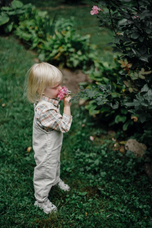 a little girl standing on top of a lush green field, inspired by Elsa Beskow, pexels, holding a rose in a hand, wearing dirty overalls, profile image, a high angle shot