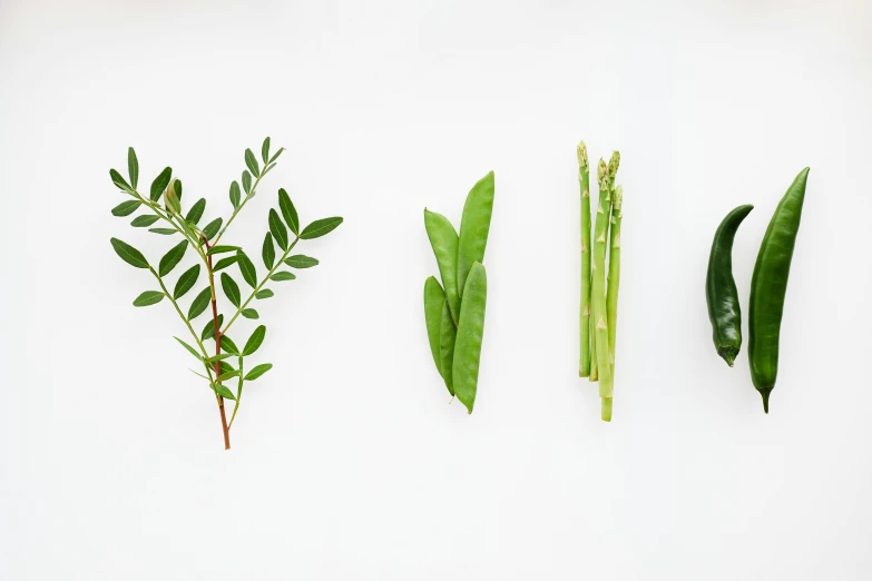 various types of herbs laid out on a white surface, trending on unsplash, background image, moringa oleifera leaves, in a row, cinematic still