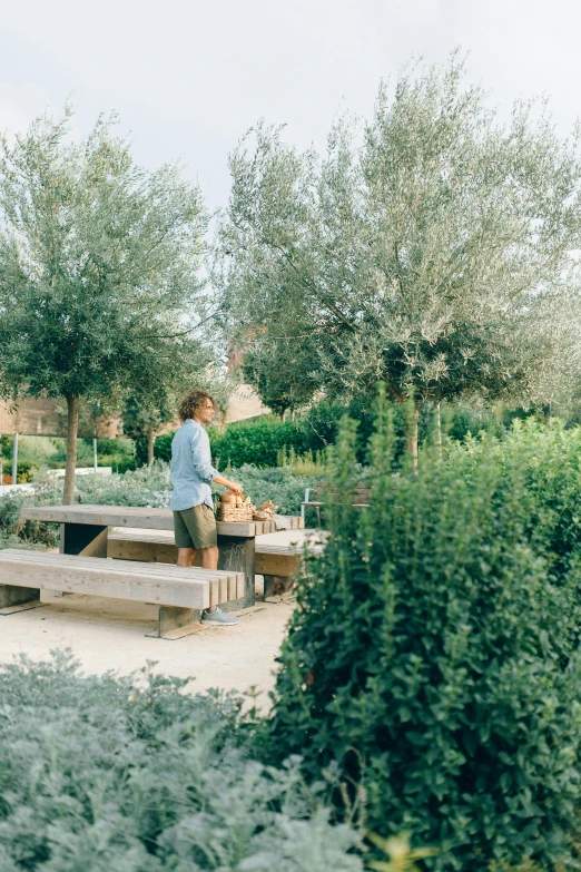 a man sitting on a bench in a garden, a picture, by Jacob Toorenvliet, trending on unsplash, lots of oak and olive trees, restaurant, hollister ranch, she is the center of the garden