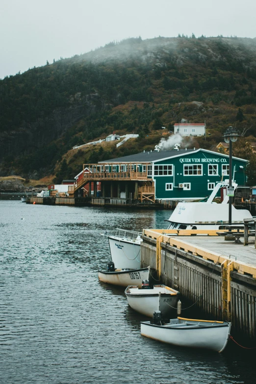 a group of boats sitting on top of a body of water, by Jessie Algie, pexels contest winner, small buildings, quebec, hills and ocean, lo fi