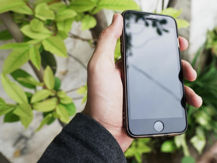 a person holding a cell phone in their hand, pexels contest winner, bushes in the background, background image, iphone wallpaper, on display