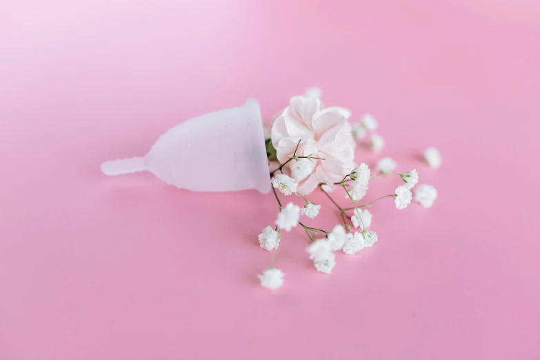 small white flowers in a paper cone on a pink background, by Emma Andijewska, trending on unsplash, plasticien, an upside down urinal, spilled milk, third trimester, contracept