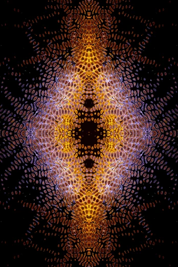 a pattern that looks like a flower on a black background, a digital rendering, by Jon Coffelt, orange purple and gold ”, skin made of led point lights, coherent symmetrical faces, digital art - n 5