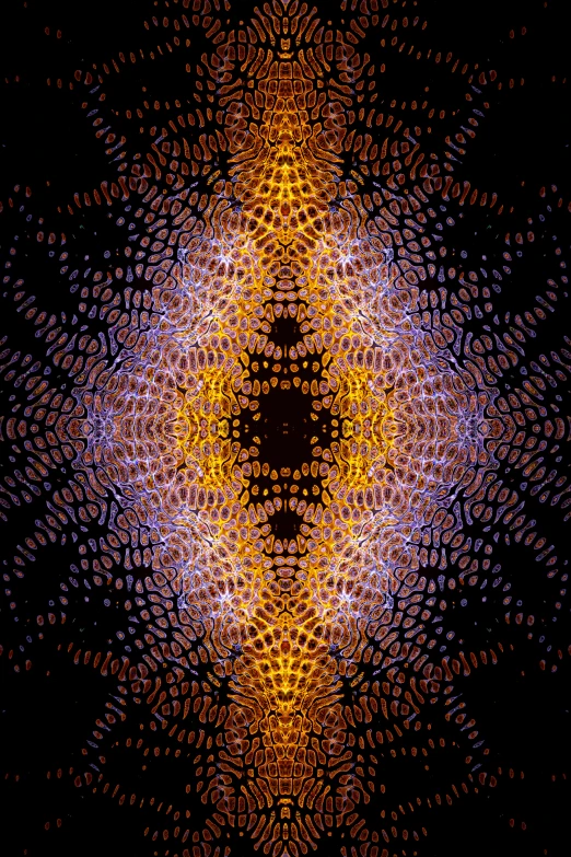 a pattern that looks like a flower on a black background, a digital rendering, by Jon Coffelt, orange purple and gold ”, skin made of led point lights, coherent symmetrical faces, digital art - n 5