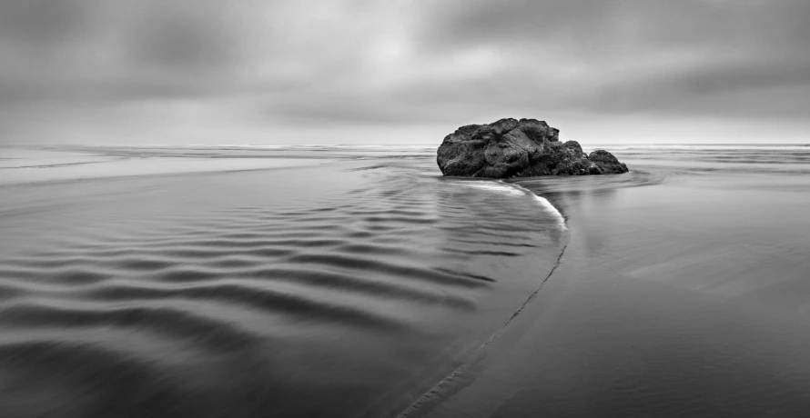 a black and white photo of a rock on the beach, inspired by Edward Weston, unsplash, flowing tendrils, serene overcast atmosphere, cascadia, unsplash photo contest winner