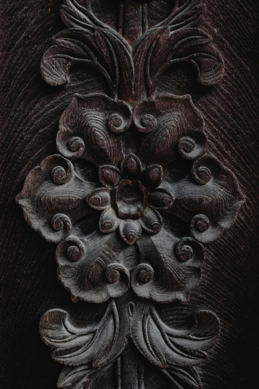 a close up of a carving on a wall, unsplash, arts and crafts movement, karl blossfeldt, smooth panelling, ebony rococo, brown