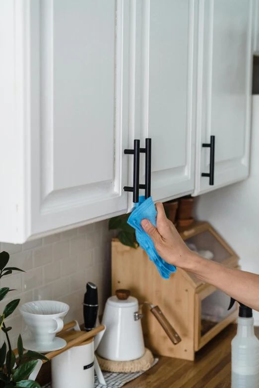 a woman cleaning a kitchen counter with a sponge, by Julia Pishtar, unsplash, wooden cabinet, clean black outlines, 3 - piece, metal handles