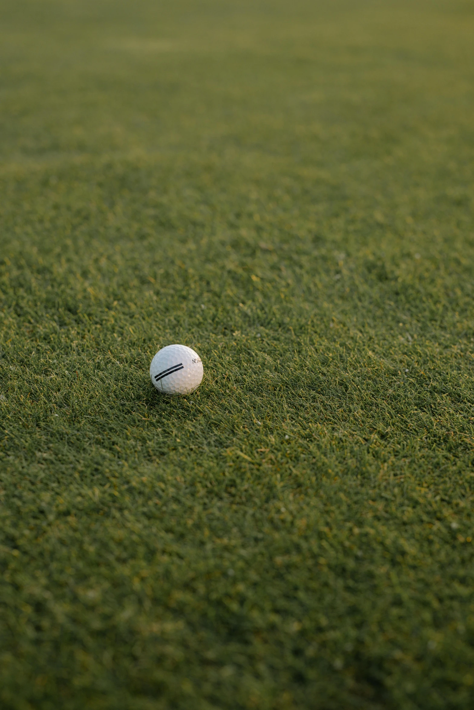 a white ball sitting on top of a lush green field, clubs, surface blemishes, in the evening, medium sensor