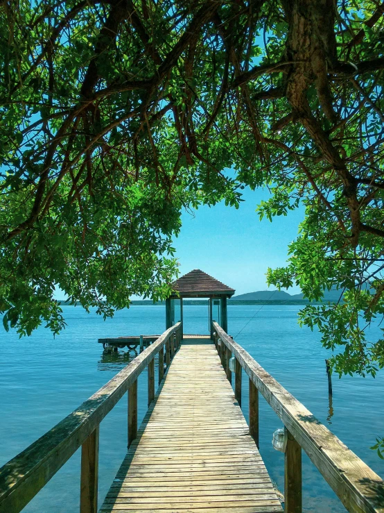 a dock in the middle of a body of water, canopy, slide show, photograph