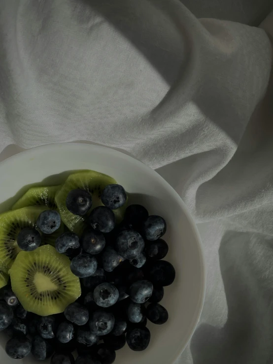 a white bowl filled with blueberries and kiwi, a still life, trending on unsplash, low quality footage, portrait photo