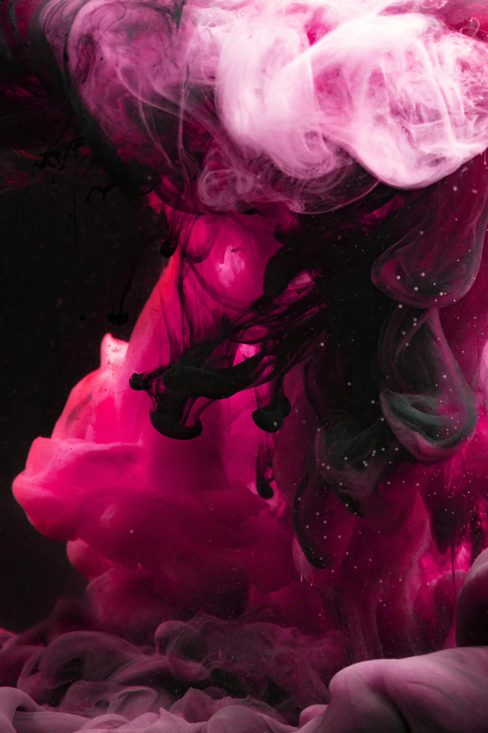 a close up of a pink substance in water, a picture, trending on pexels, abstract expressionism, dark ink, abstract portrait, dark purple clouds, digital artist