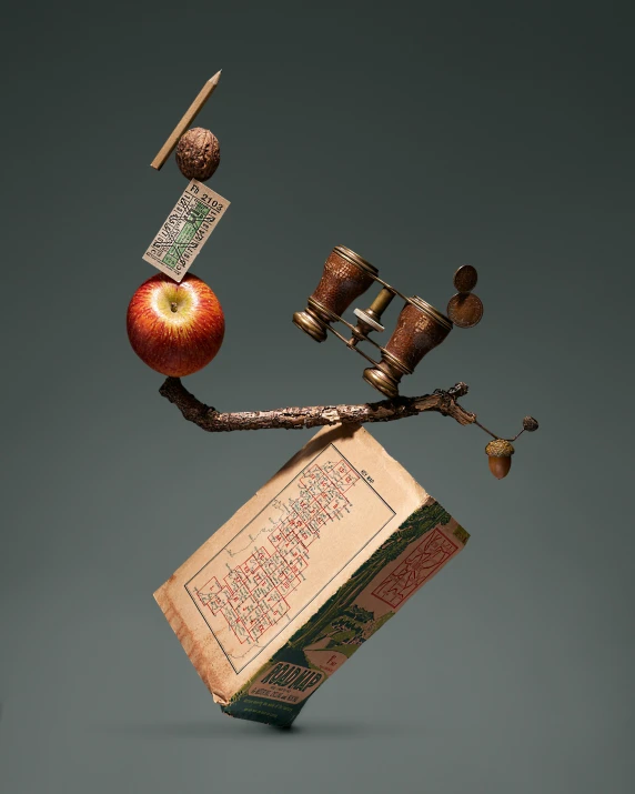 a book sitting on top of a tree branch next to an apple, inspired by Joseph Cornell, kinetic art, box, hanging, artefact, worn